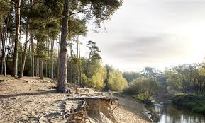 buiten-trainen-outdoor-training