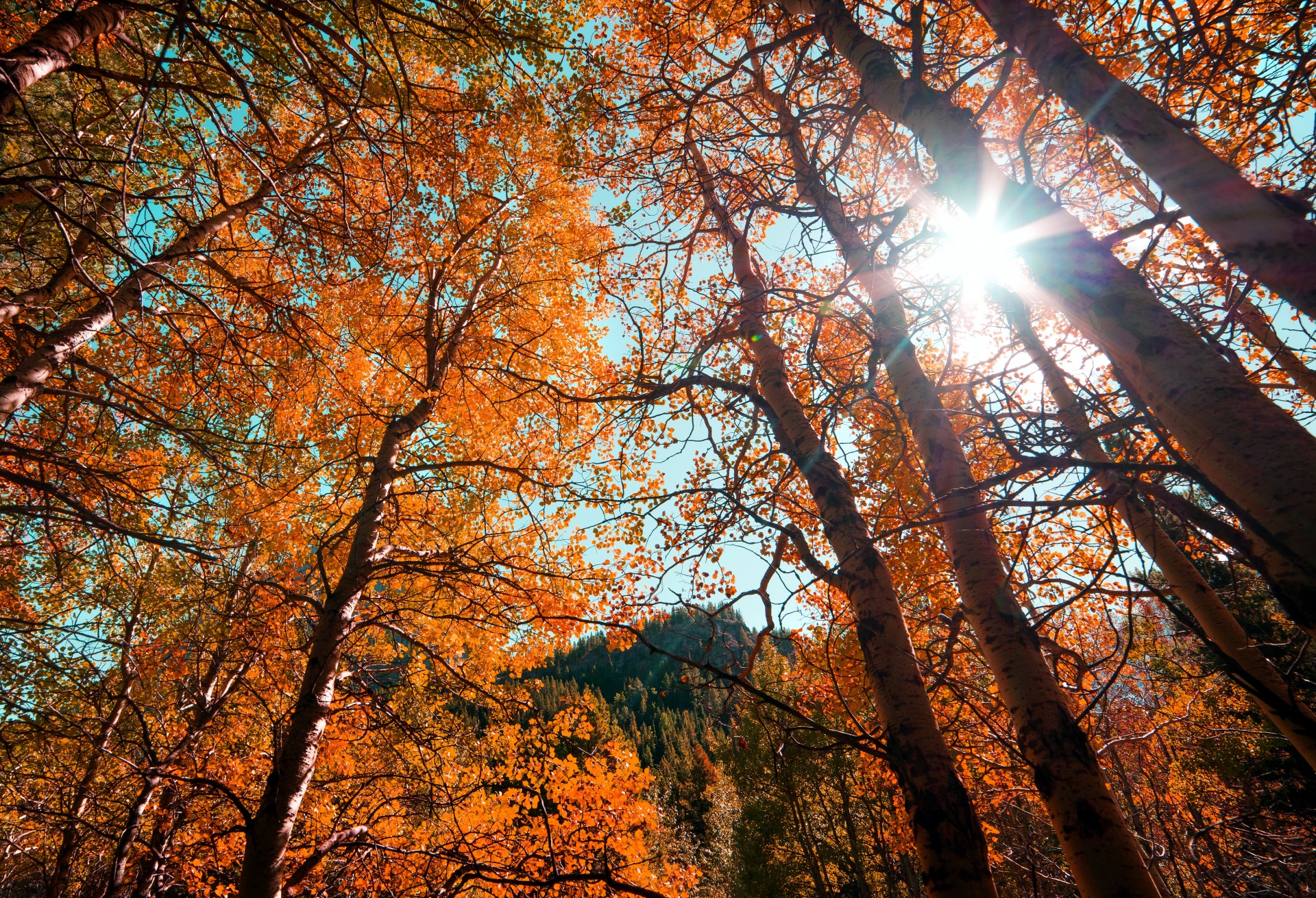 Herfst en Sport